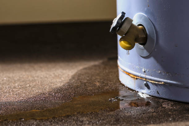 Best Professional water damage repair  in Prineville Lake Acres, OR