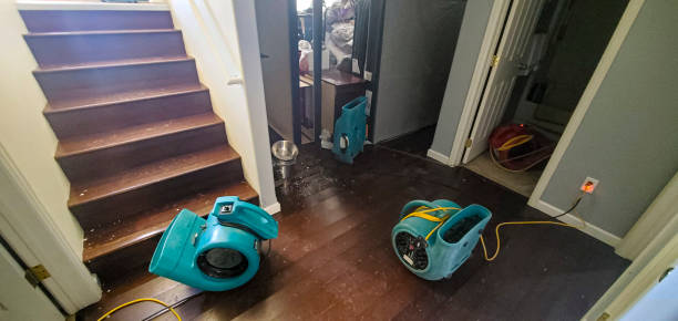 Best Flood damage cleanup  in Prineville Lake Acres, OR