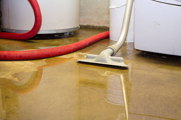 Local water damage restoration in OR