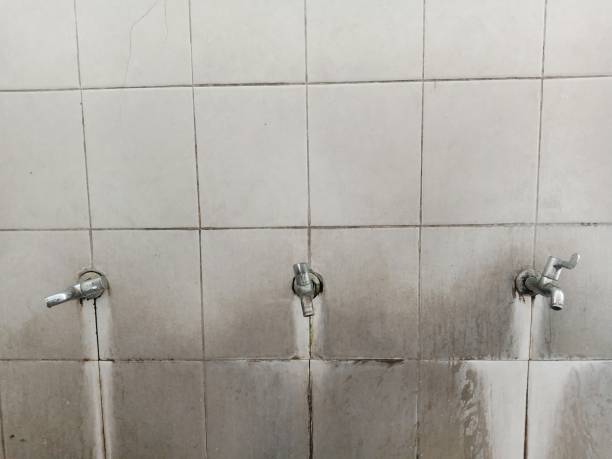 Best Water damage contractors near me  in Prineville Lake Acres, OR