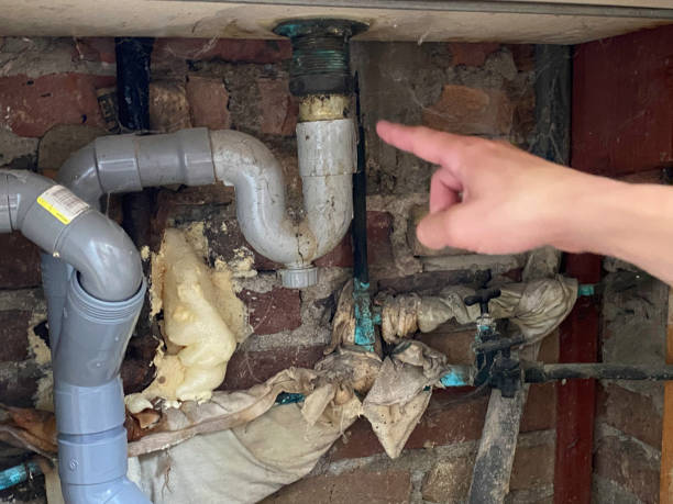 Best Basement water damage restoration  in Prineville Lake Acres, OR