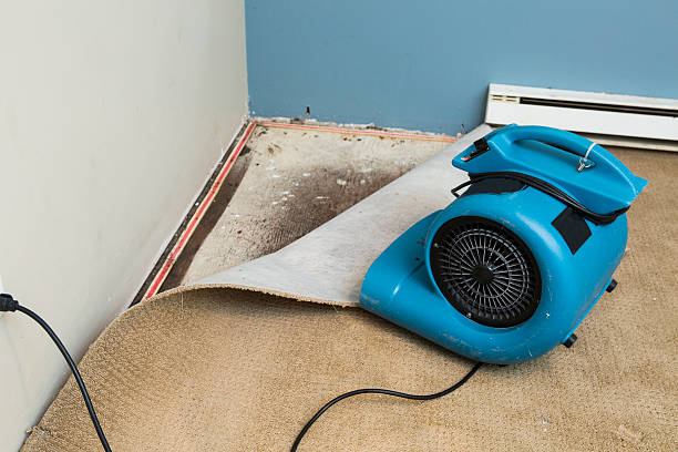 Best Ceiling water damage repair  in Prineville Lake Acres, OR